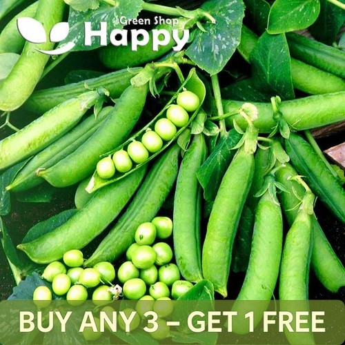 Vegetable seeds early - seeds,