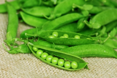 Pea lincoln seeds - seeds, –