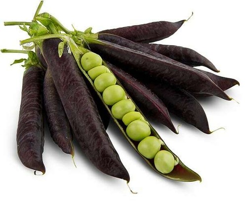 Purple peas desiree dwarf - -,