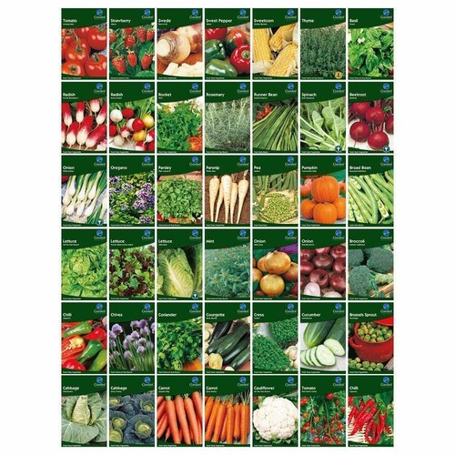 Vegetable seeds herb - vegetable,