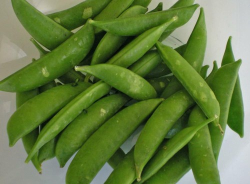 Pea delikett sugar snap 250 - pea,
