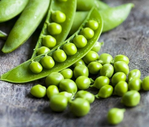 Onward pea peas - onward,