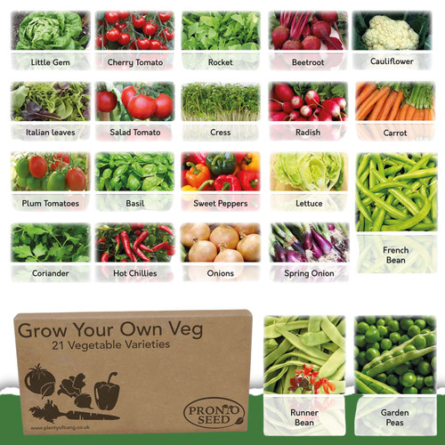 Vegetable seeds grow your - vegetable, uk