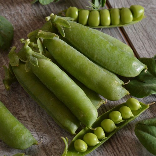 Sugar snap pea - snap,