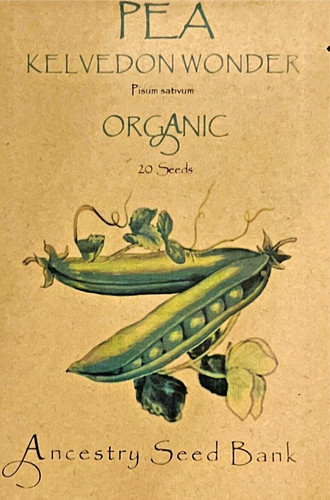 Organic pea kelvedon - pea, ❁