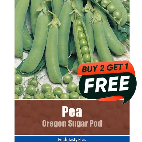 Vegetable seeds pea - vegetable,