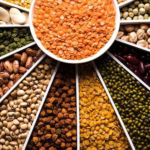 Pure organic pulses lentils - organic,