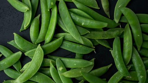 Sugar snap pea - pea, plug