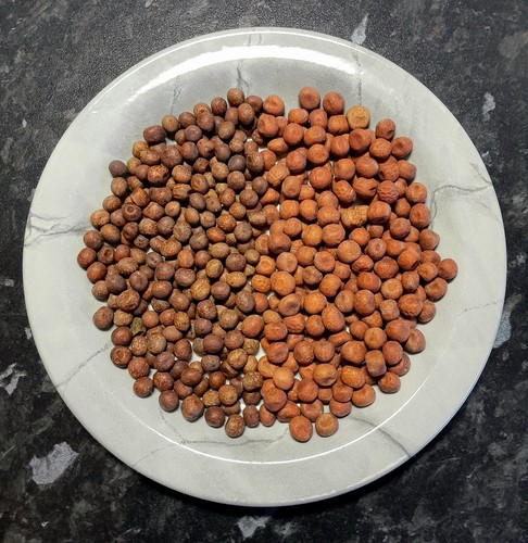 Carlin pea collection two - carlin,