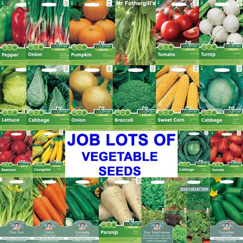 Job lot vegetable - seeds,