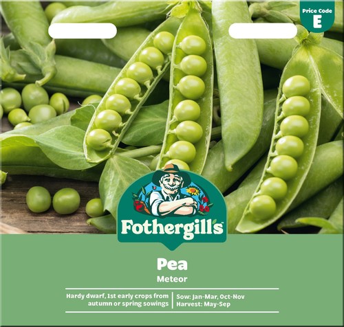 Winter peas meteor hardy - winter,