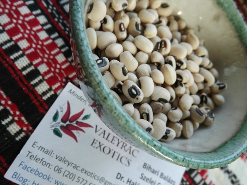 Cowpea cow pea - cowpea,