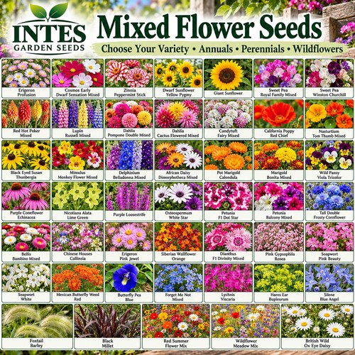 Flower seeds choose your - flower,