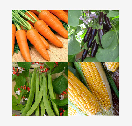 Vegetable seeds large - vegetable,