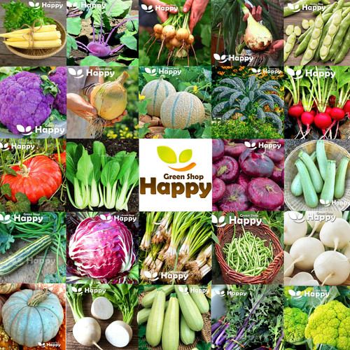 Vegetable seeds radish onion - seeds,