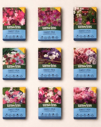 Unwins sweet pea seed - seed, lovers